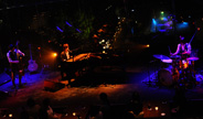 MTV Unplugged：WEAVER