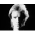 The Police