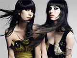 THE VERONICAS