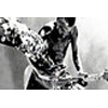 Red Hot Chili Peppers - Give It Away