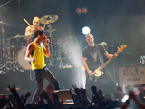 Live In Malaysia