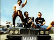 MTV JACKASS