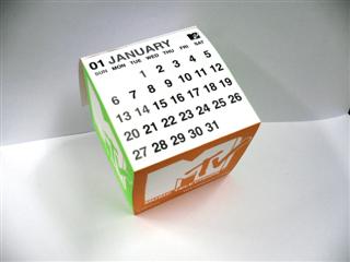 MTV calendar 2008