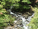 空気が綺麗過ぎて吐きそうに(スタッフ談)
