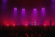 ZEPP on FIRE